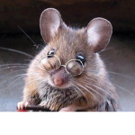 Rats Of Bloxburg Rat School