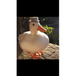The ducky and bros group