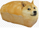 Bread Doges Are Cool