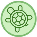 fast turtle gaming