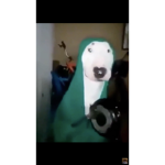WALTERISGOD