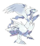Reshiram Rangers