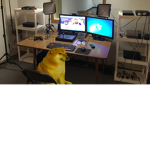 Mr.Doge INC.