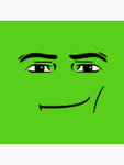 Spidriss
