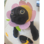 monke and friends