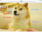 Doge group dank memes