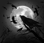 Dark Veil Studios
