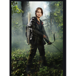 Katniss everdeen and the hunger games fan club