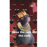 Rat cult (Sacrifice edition)