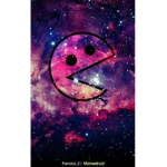 PlayerFox