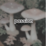 pαssion