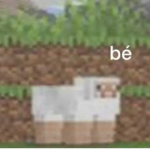 SeBaS G