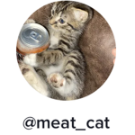 @meat_cat