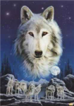 The Wolves Pack