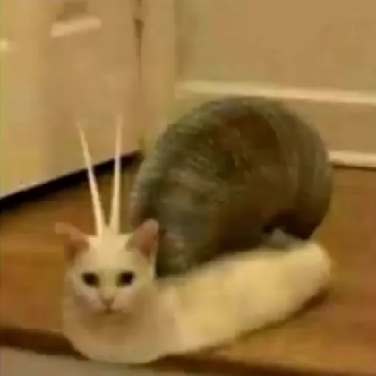 Cursed Cat 2 Roblox decal