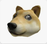 NS Doge