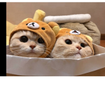 The cat squad:3