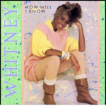 Whitney Houston fan group