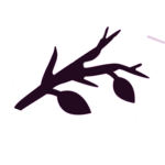 Bloom 咲く