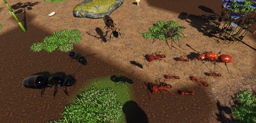 Ants