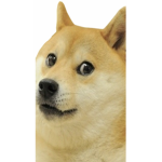 {The Doge Army}