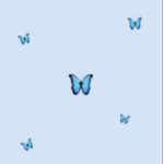 Butterfly panda