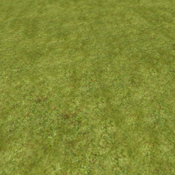 Grass Hangout