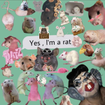 THENATALIES