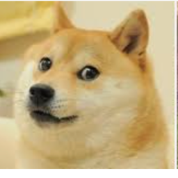 Doge