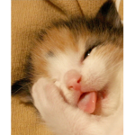 Cute! :)