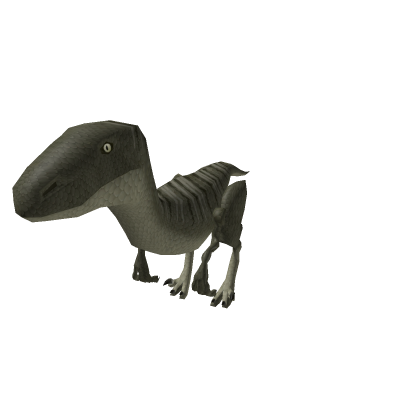 Velociraptor