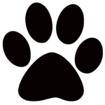 Paws agency