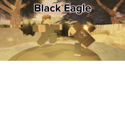 Black Eagle House Dojo