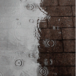 cloudy tears.