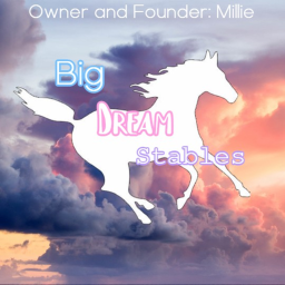 . ☁ Big Dream Stables ☁ .