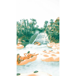 SPLASH TASTIC