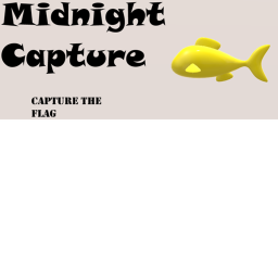Midnight Capture