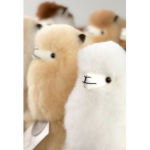 Floofy Llamas