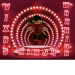 Vixbs Ninja Warrior