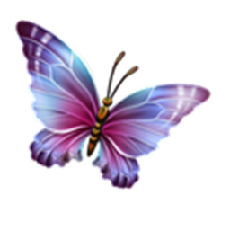 Butterfly Club