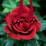 (*Rosey Baby! :q*)~