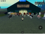 Wild horse island barn adoption!