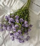 ViolettXxzx