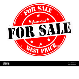Selling Amusement Rides