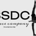 Welcome to the SSDC!