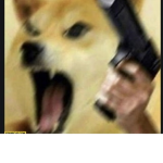 Puppie power