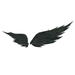 Ghastly Graveyard Wings