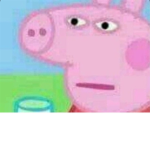 PEPPA PIGS Swampy Kingdom.