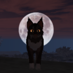 Realistic Warrior Cat Roleplay