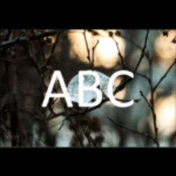 ABC basic catalog avatar testing